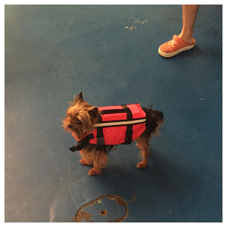 Processed with MOLDIV